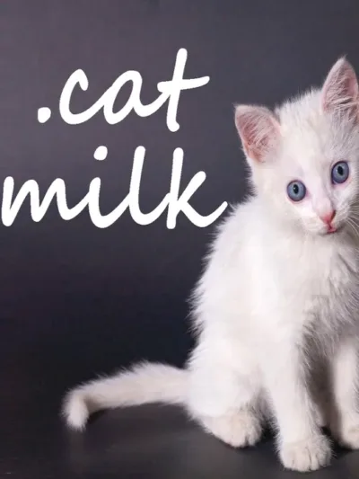 .Cat Milk